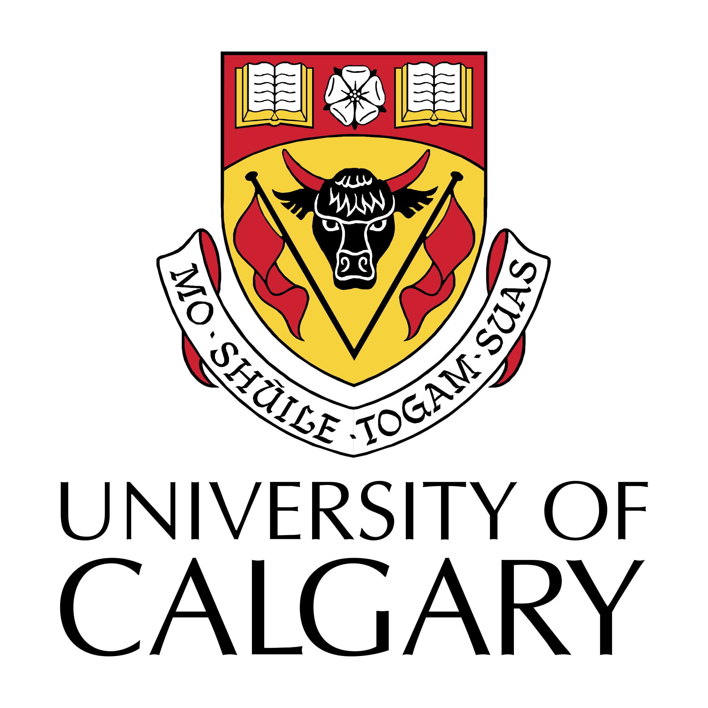 University of Calgary logo — team experience